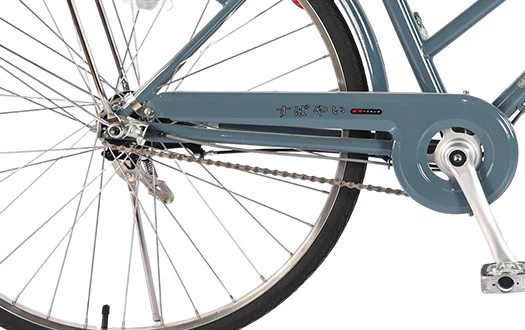 single speed single speed