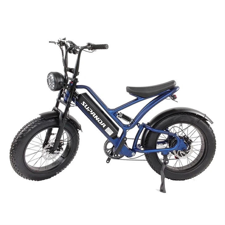 Fat Tire Mountain Ebike