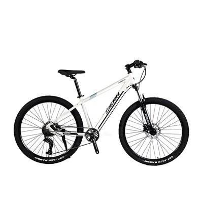 Alüminyum Alaşımlı Hardtail Dağ Bisikleti