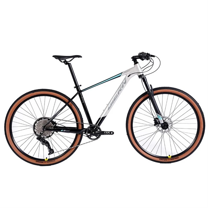 Xc Bike Hardtail