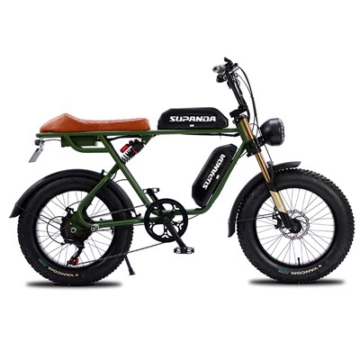 Çift Motorlu E-bisiklet