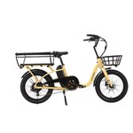Aile Ebikes Ucuz Kargo Ebike
